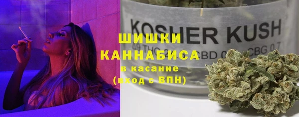 2c-b Гусиноозёрск