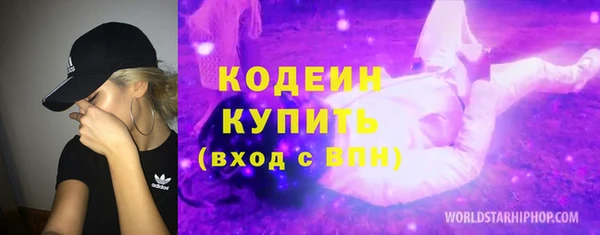 сатива Кинешма