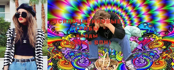 2c-b Гусиноозёрск