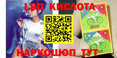 прущие грибы Жуковский