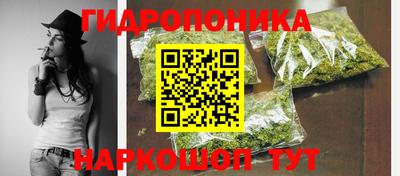 гидропоника Заволжье