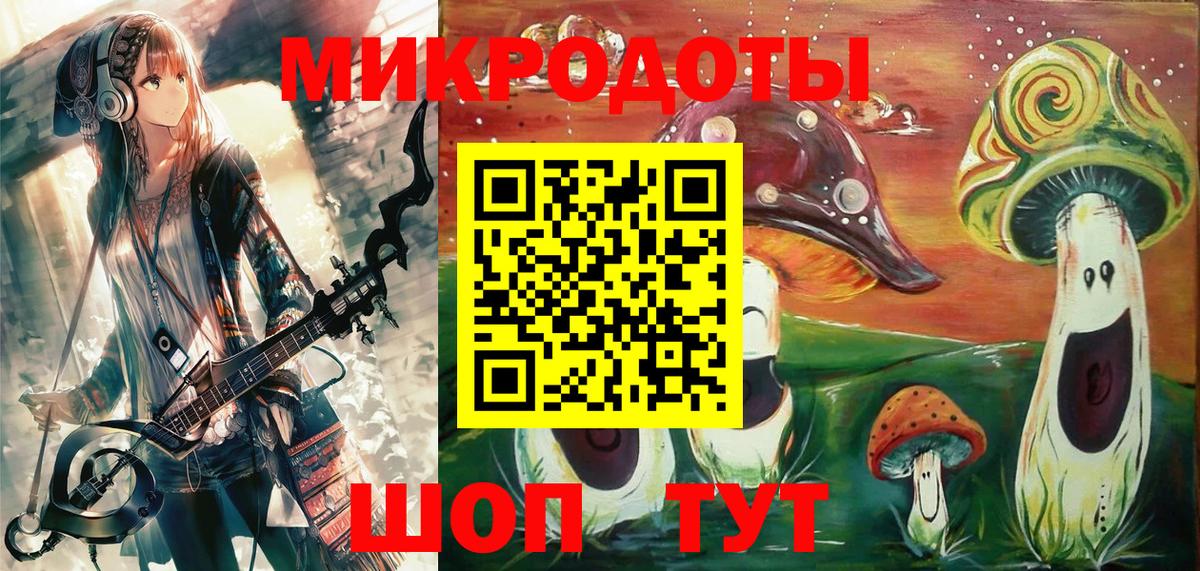 Псилоцибиновые грибы Psilocybe Пыть-Ях