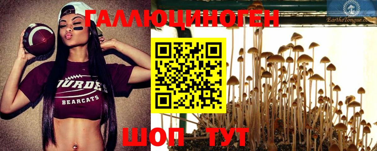 Галлюциногенные грибы мухоморы  Галлюциногенные грибы ЛСД  Пыть-Ях 